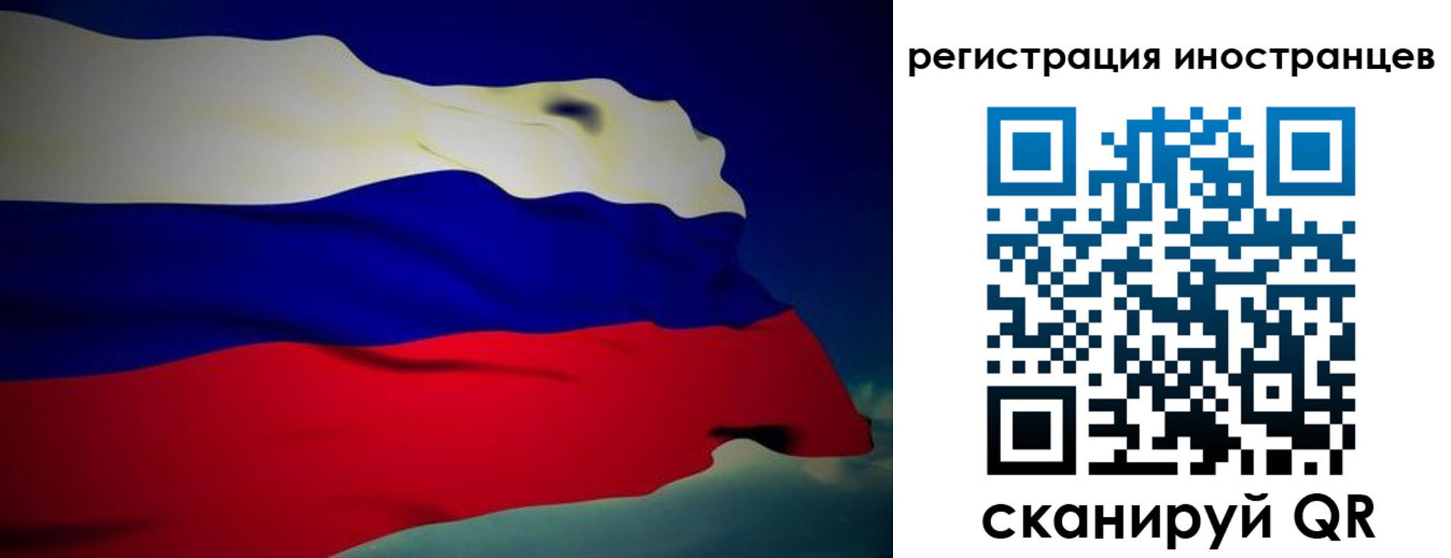 временная регистрация купить в Светлом